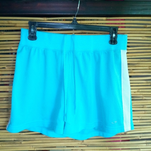 Champion M Blue Sky White Stripe Mesh Athletic Shorts - Picture 1 of 4